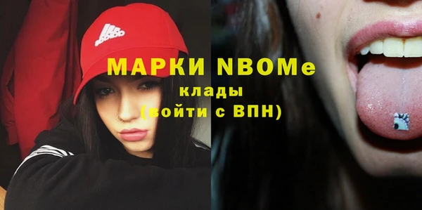 сатива Куйбышев