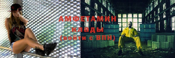 сатива Куйбышев
