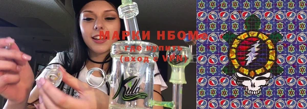 сатива Куйбышев